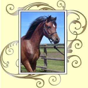 AH Malachi Jamaal.jpg